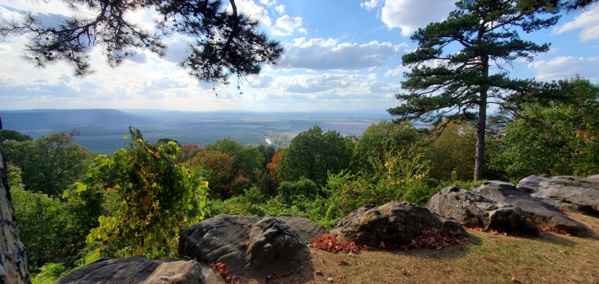 Vista