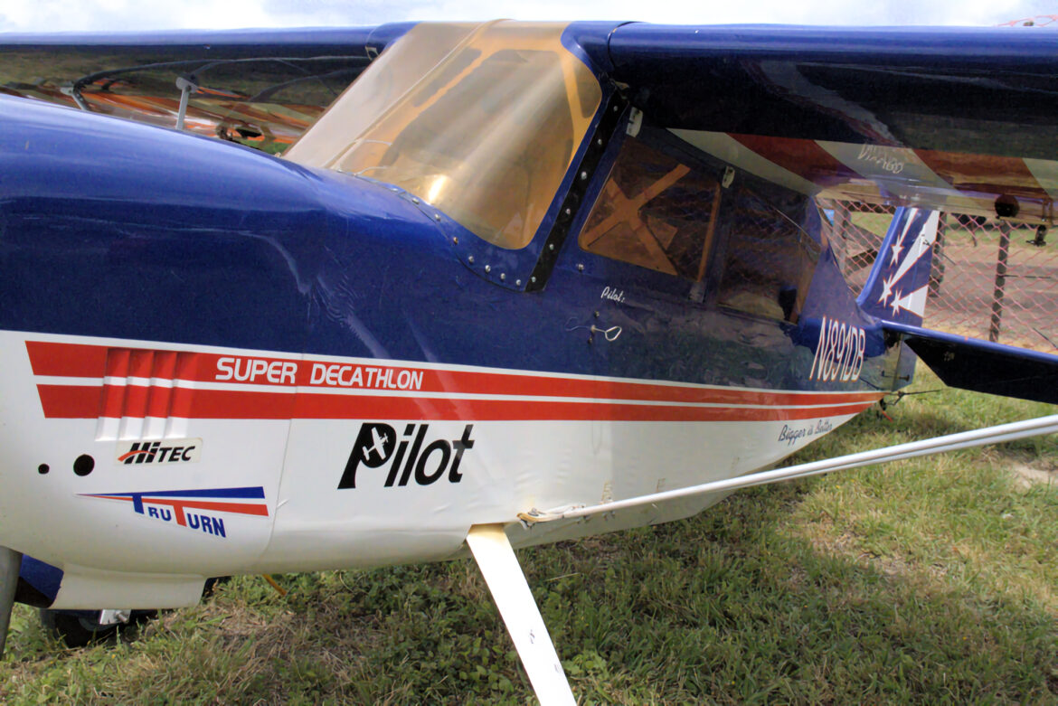 Model Aviator of South Arkansas weekend fun fly: The Planes