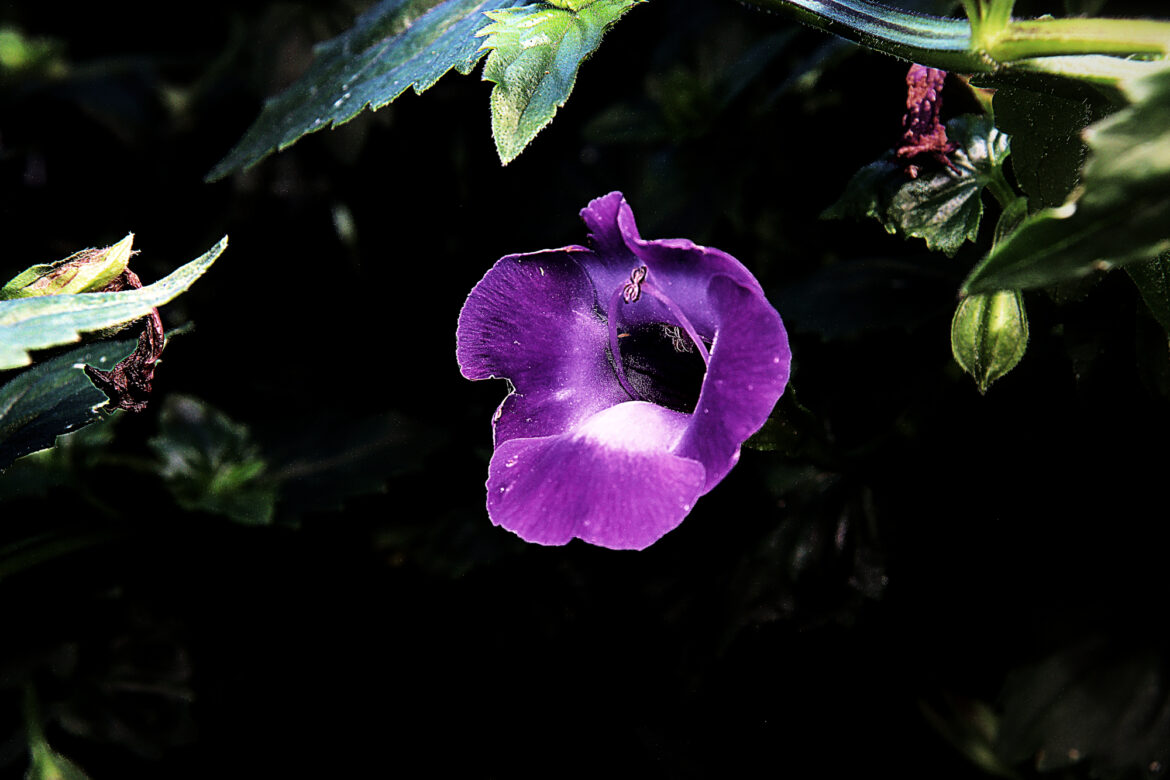 Photo Challenge Week 18, 2025: Negative Space
