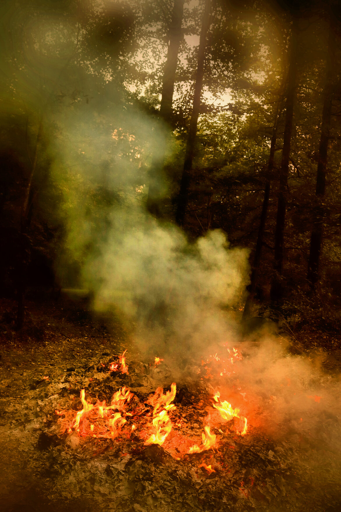 Photo Challenge Week 31 , 2025: Color Temperature
