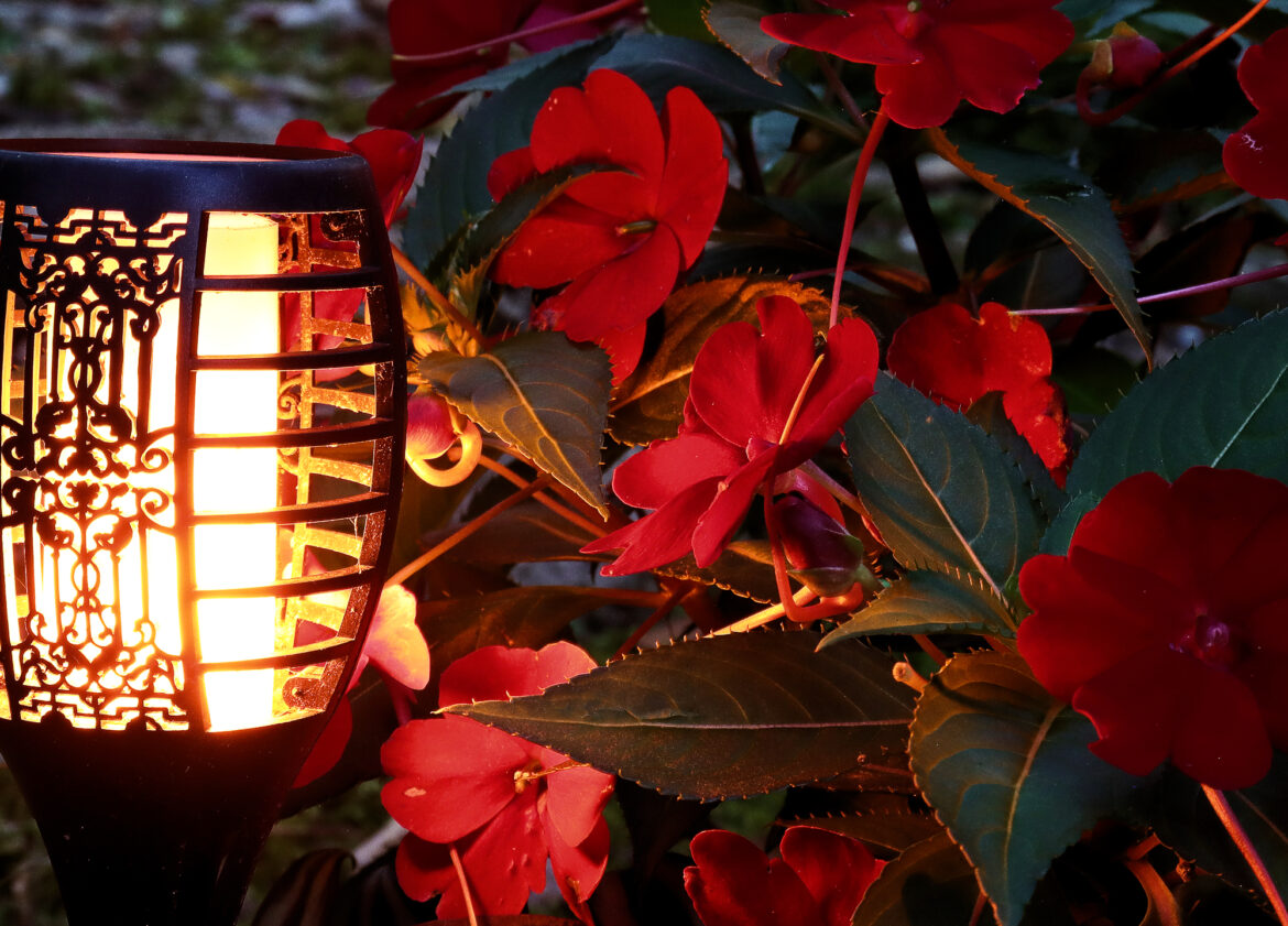 Photo Challenge Week 38, 2025 : One Light Source