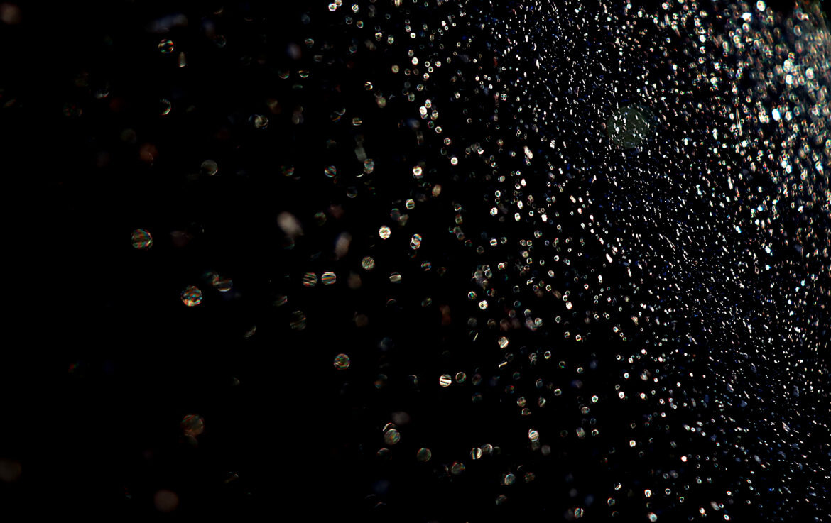 Photo Challenge Week 40, 2025: Texture