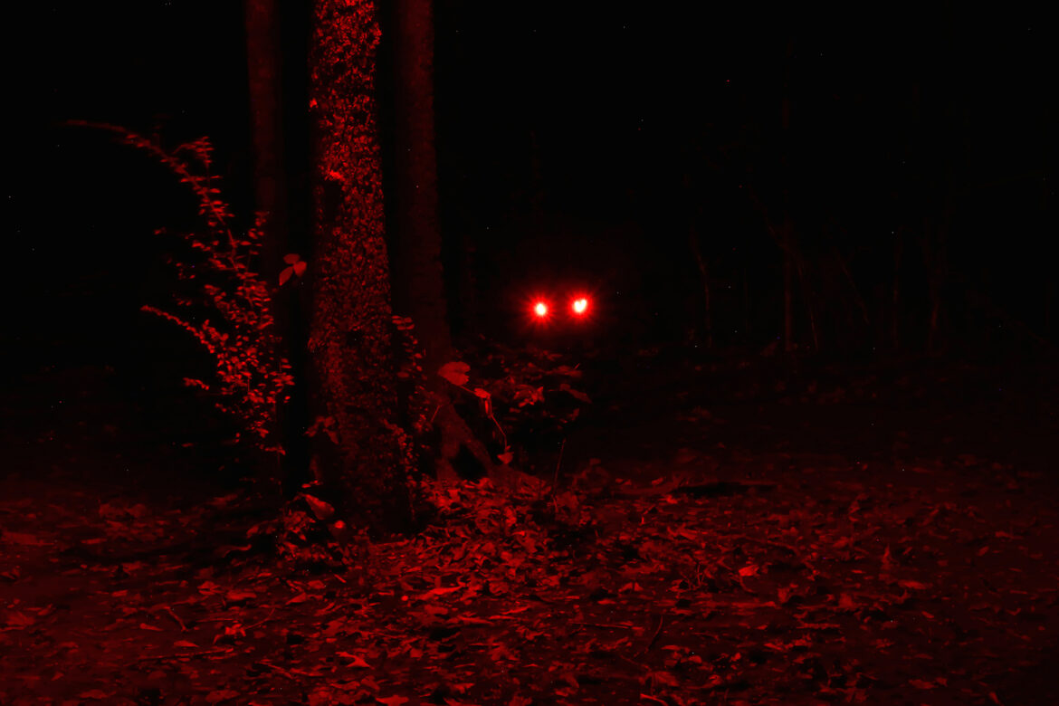 Photo Challenge Week 44, 2025: Your Worst Nightmare