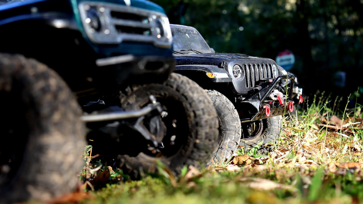 Photo Challenge Week 45, 2025: Show Us Your Toys