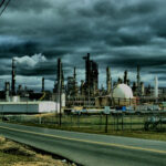 IMG_9816 -1high contrast