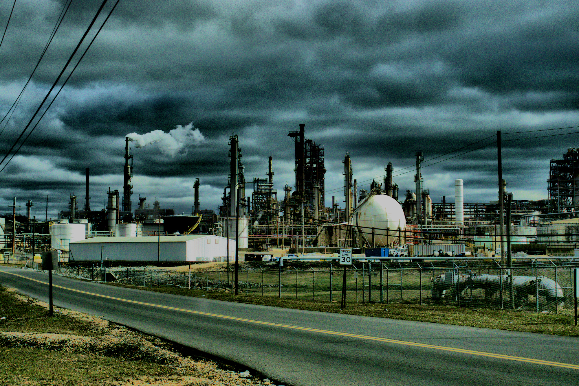 IMG_9816 -1high contrast