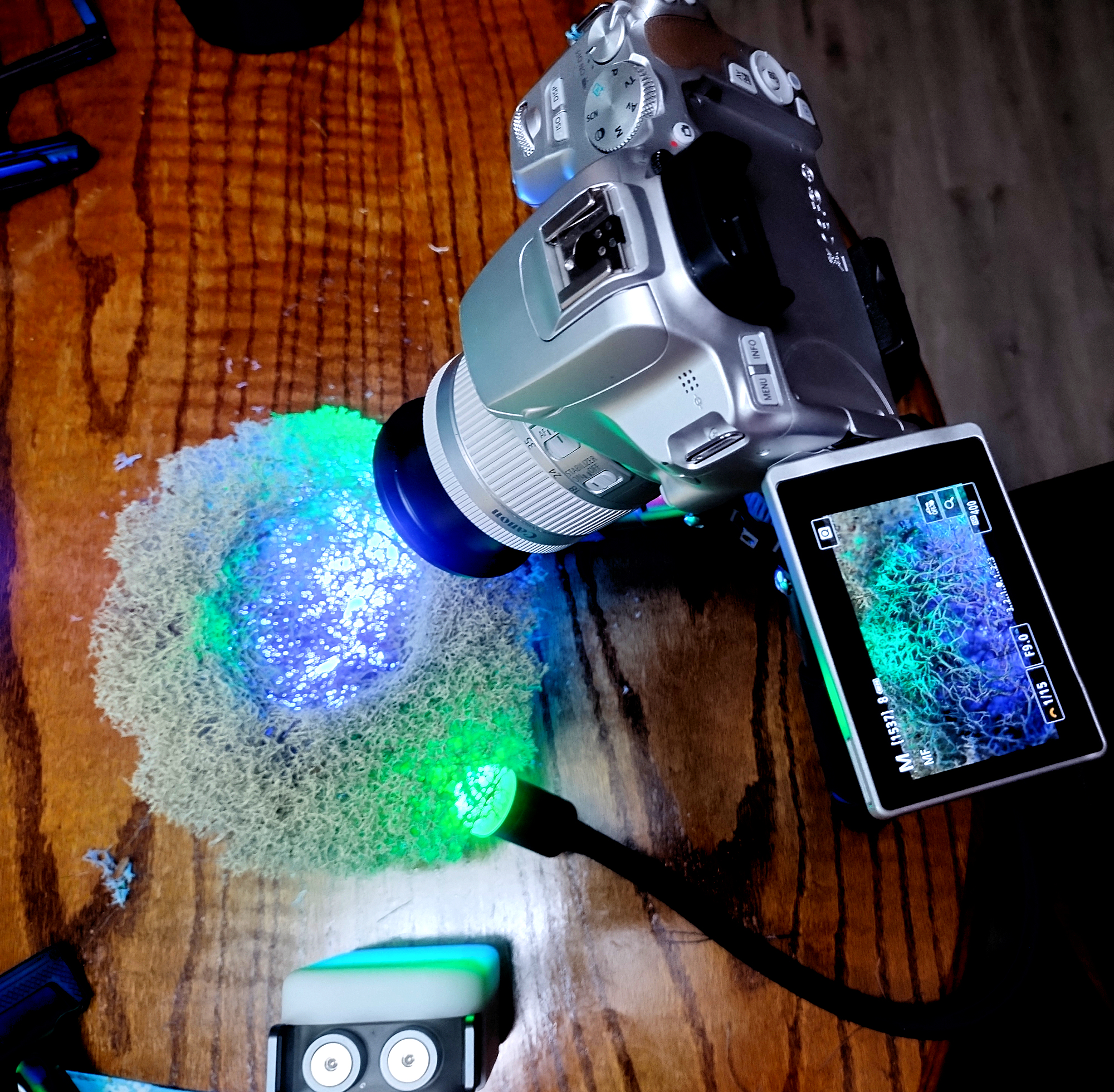 IMG_20260307_191237645_HDR