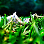 IMG_3381b