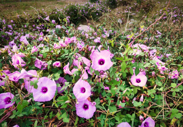 IMG_20261004_171113358_MPtest